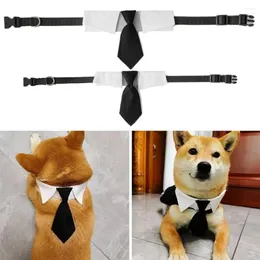 Colarinho de cachorro fofo formal tiche tiche de animais de estimação colarinho gato colarinho