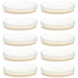 10pcs Prepoured Agar Plates 과학 실험 프로젝트 실험실 용품이있는 페트리 요리