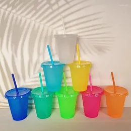 Canecas 500 ml de água criativa Cup em pó espumante de palha plástica Multi especificação Design de bebida confortável