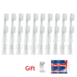 Cabeças Panasonic Electric Toothbrush Heads Wew0972 Adequado para DM71/DM712/DML1/DM31/DM711/DM711/PDM7B DUPONT PROCUSH CABELAS