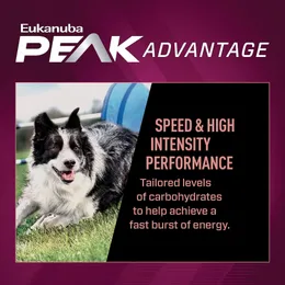 Is Eukanuba Excel Adult Salmon Formula Dry Dog Food Discontinued? Find Out Now!