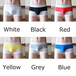 Underpants 2xl Sexy Men Boxer Shorts Roupa Underless Slip Homme Bugle Bolsa Mesh Male Mesh Breunk Breunk Cueca Tanga Gay Calcinha