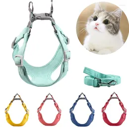 Köpek yakaları Yumuşak Süet Pet Kedi Kedileri Köpekler için Yaz Summer Cozy Puppy Yelek Kablo Demeti ve Tasma Set Maskotalar Aksesuarları Malzemeler