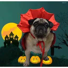 Hundekleidung Haustier Halloween Cloak Hut Urlaub Set Transformation Kleid Weihnachten up Kleidung Welpe Kleidung