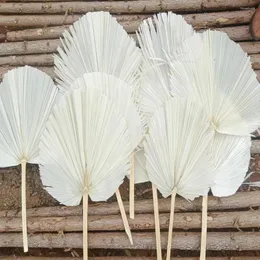 Dekoratif Çiçekler 2 PCS PU Fan Kurutulmuş Çiçek Guanyin Kuru Yaprak Düzenleme Düzenleme Mağazası Pencere Sanat Seti Düğün Yumuşak Dekorasyon