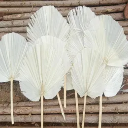 Dekorative Blumen 2pcs PU -Fan getrockneter Blumen Guanyin Trockenblattdekoration Anordnung Ladenfenster Kunst Set Hochzeit Weichdekoration