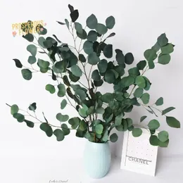 Decorative Flowers Natural Eucalyptus Leaves Branch Stems Dried Flower Real Plant Ornament DIY Wedding Po Prop Garden Decoration Boho Home