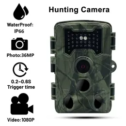 Kamery PR1000 36MP HD 1080p w podczerwieni Wildlife Hunting Camera Trail Outdoor Wild Animal Nocne Pułapki do zdjęcia Wykrywanie kamer