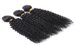 Brasilianische jungfräuliche menschliche Haare Afro Kinky Curly Wave Unverarbeit