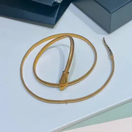Fashion accessories snake head waist chain pure copper womens thin waist chain multi-purpose accessory snake head gold chain 240419