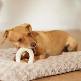 Doughnut Dog Toys! Tasty-Looking Canine Treats, 2-Pack Shop