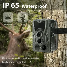 Kamery HC801 Kamera myśliwska 16MP Trail Camera Nocna Wodoodporna wodoodporność dzikiej przyrody Pułapki do kamery kamera Nadzór wideo
