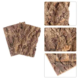 Flores decorativas 2 PCs Bark Decoration Tank Reptile Supplies Acessórios Roup Tartoise Habitat Cork Répteis Decorações de terrário