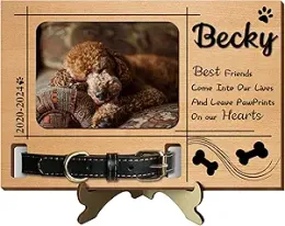 Paw Print Clay Mould & Photo Frame Kit For Dog Or Cat | Pet Memorial