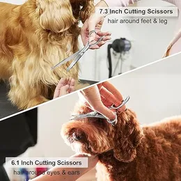 Professional 10 In Pet Grooming Scissors Kit Dog Grooming