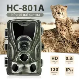 Telecamere HC801A Suntek Hunting Camera FototraMpeo Camera selvatica 1080p Visione notturna Surveaproof Surveillanceoutdoor Accessori sportivi