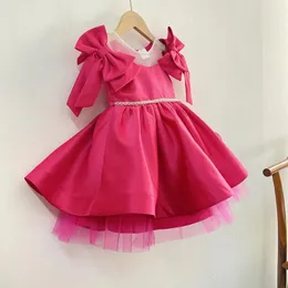 Девушка платья атласной принцесса цветок милое бальное платье первое платье причастия для детской марибу