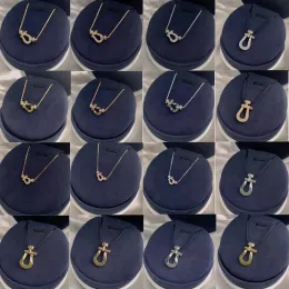 Necklaces Hot selling Horseshoe Necklace French Luxury Lady Jewelry Original 925 Silver 18K GOLD 1: 1 Logo Wedding Gift Wholesale