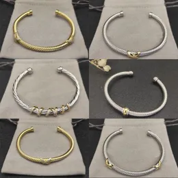 Dy Armband Designer Fashionable Twisted Cable Bangles For Women Jewelry Vintage Rhinestone Head Populära manschettpläterade Gold Luxury Armband Men ZL123 B4