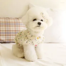 Vestido de saia cotondog de vestido de cachorro com pequenos botões requintados requisitos de renda bichon bichon pet gato princesa roupas