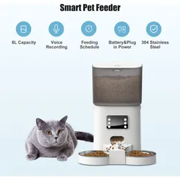 Automatic Pet Food Dispenser with Splitter Stainless Bowls, 6L