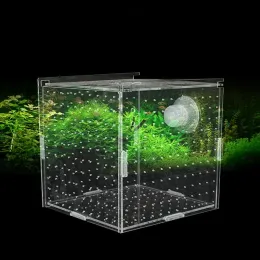 Aquariums Acrylic Isolation Box Fish Tank Transparent Aquarium Small Fry Incubator Breeding Box Single Double Multigrid Isolation Net