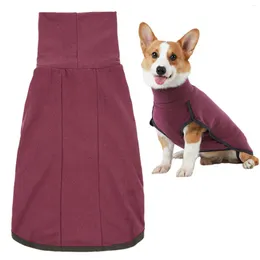 Abbigliamento per cani vestiti per animali domestici facile indossare maglione con colletto alto maglione tieni giubbotto caldo autunno inverno traspirante per interno outdoor solido