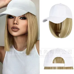 WIG WIG WIMED WIG WIG Европейский и американский персонализированный короткие прямые волосы химические волокно -парики мультифорт парики