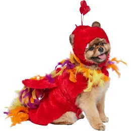 Funny Pet Halloween Costume Flying Phoenix Outfit for Cats Dogs Shop  Now!