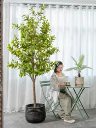 Fiori decorativi grandi simulazione Osmanthus Tree Green Plant Alberi finti bonsai Soggiorno interno Bionico