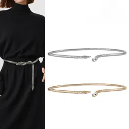 Ins snake gold belt lemb women fashion thin silver shiny luxury ленты Женщины Жан Платье пояс 2024 240419