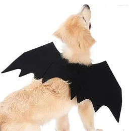 Cat costumi Teste vestito vestito elegante Halloween CX203 Accessori per animali domestici Aletti per pipistrello Dog Bat Black Black Clothes