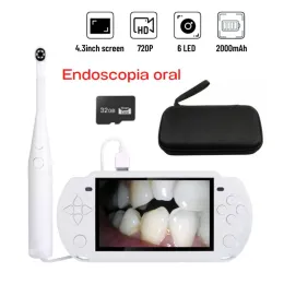 Parentesi da 4,3 pollici Schermo IPS portatile HD Endoscopio intraorale Rilevatore della pelle Visual Inspection Endoscopy Camera per estremità e animali domestici