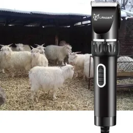 Clippers de alta potência Profissional Electric Pet Clippers Cat Trimmer Cat gtrewer gract groded Clipper Pets Haircut Shaver Machine