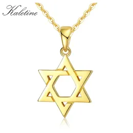 Necklaces Jewish Magen Star of David Sterling 925 Silver Necklace Women Men Israel Judaica Hebrew Jewelry Hanukkah Pendants Gold Color