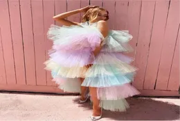 ألوان مختلطة Tutu Tulle Prom Dresses Cheap Hi Lo Tiered Cocktail Party Dress Poshoot Vestidos Maxi Tulle Skirt Lush Evening Go5906237