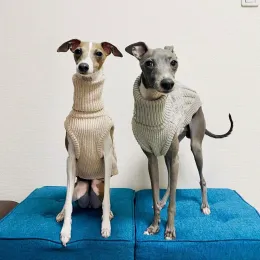 Maglioni maglioni maglione per le grigio, whippet, galgo, saluki, lurcher, levriero italiano, vestiti da jumper in pile morbida per cani