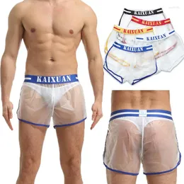 Underpants 5pcs/lotes pvc transparente boxer erótico shorts solto esporte causal fitnesswear homens calcinha calma de banho baús de biquíni à prova d'água