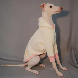 Maglioni italiani grigia felpata con cappuccio bianca colorblock peluche abiti da cane da cane bichon bichon bellington cognello senza peli