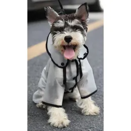 Płaszcza przeciwdeszczowe 2023 nowe ubrania psa deszczowego Mały pies płaszcz przeciwdeszczowy cztery nogi cienkie wodoodporne litery drukowane darmowe wysyłki