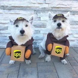 Set di costumi per corriere per animali domestici vestiti per cani per cani per cane divertenti abiti da cosplay per il Natale di Halloween