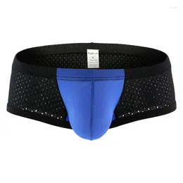 Underpants sexy Männer Unterwäsche Mesh Low-Rise Boxer Homosexuelle atmungsaktive Boxers Shorts bequeme Ropa Interieur Hombre