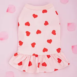 Hund tröja klänning alla hjärtans dag kläder pullover casual stil bekväm rosa hjärtmönster semester flicka tyll kjol 240411