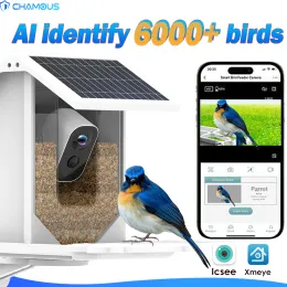 Controle câmera de vídeo alimentador de pássaros com painel solar wi -fi bateria sem fio Cam alimentadores de pássaros de capa externa Ai Smart Identify Bird Especifica