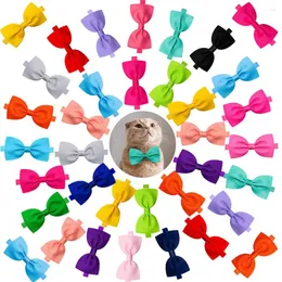 Hundebekleidung 50pcs Haustier Bowtie Kragen Massenmesselmännchen Fliegen Pflege für kleine Hunde liefert Bögen Zubehör