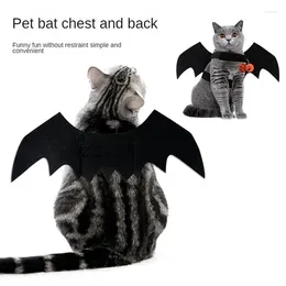 Hundkläder söt halloween kattkläder bat vingar rolig cosplay kostym med pumpa klockor 2024 husdjur leveranser accessoties gåva