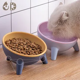 Matande hundskål katt skål husdjur matare vatten skålar för hundar katter nonslip 15 ° lutning Stand Dog Dish Bowls hundtillbehör