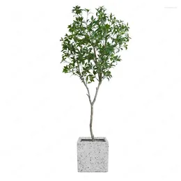 Fiori decorativi Simulazione di pole vera vera pianta verde pianta ubriaca in legno bionico interno pavimento artificiale bonsai soggiorno decorazione