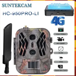 Telecamere Suntekcamhc950Proli 4G Live Video 8000Mah Iithium batteria Cellulare Dual Lens Hunting Trail Camera 36MP 4K Video Telecamera IP65