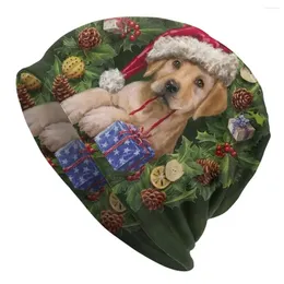 Boinas Golden Retriever Feliz Christmas Bonnet Chapé